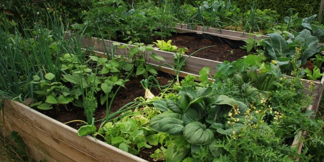 Hochbeet leicht gemacht