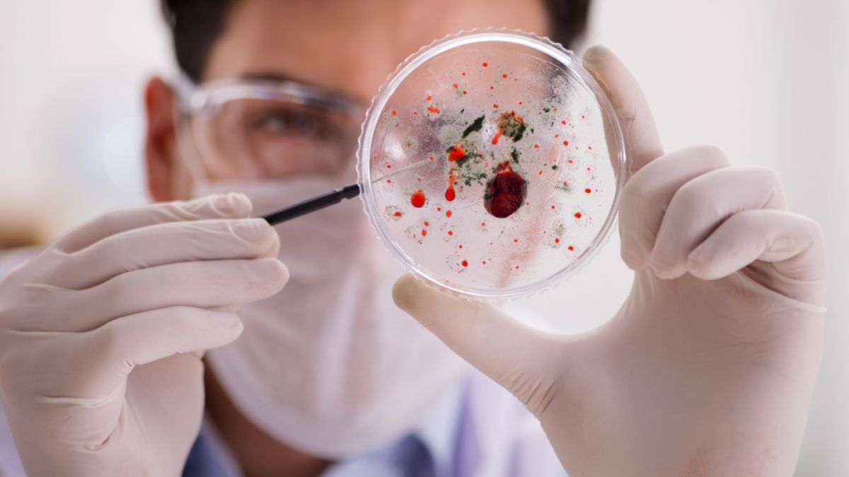 Experten warnen vor vier Erregern, die 2026 die Gesundheitslage negativ beeinflussen k&ouml;nnen. (Foto)