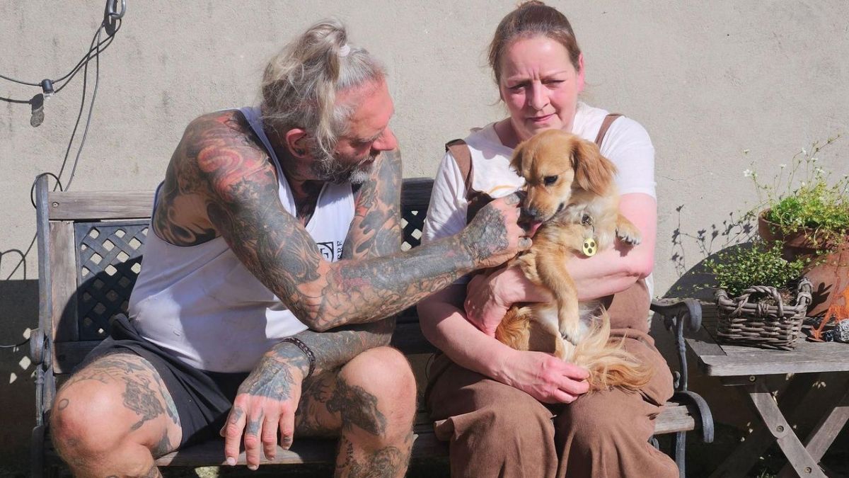 Harte Hunde - Ralf Seeger greift ein bei VOX (Foto)