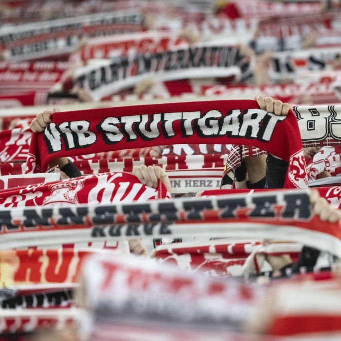 Spätes Tor von Demirovic! Freiburg unterliegt in Stuttgart