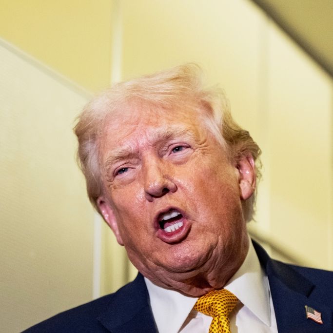 Bittere Bauchlandung überschattet Jahrestag von Trumps Amtsübernahme