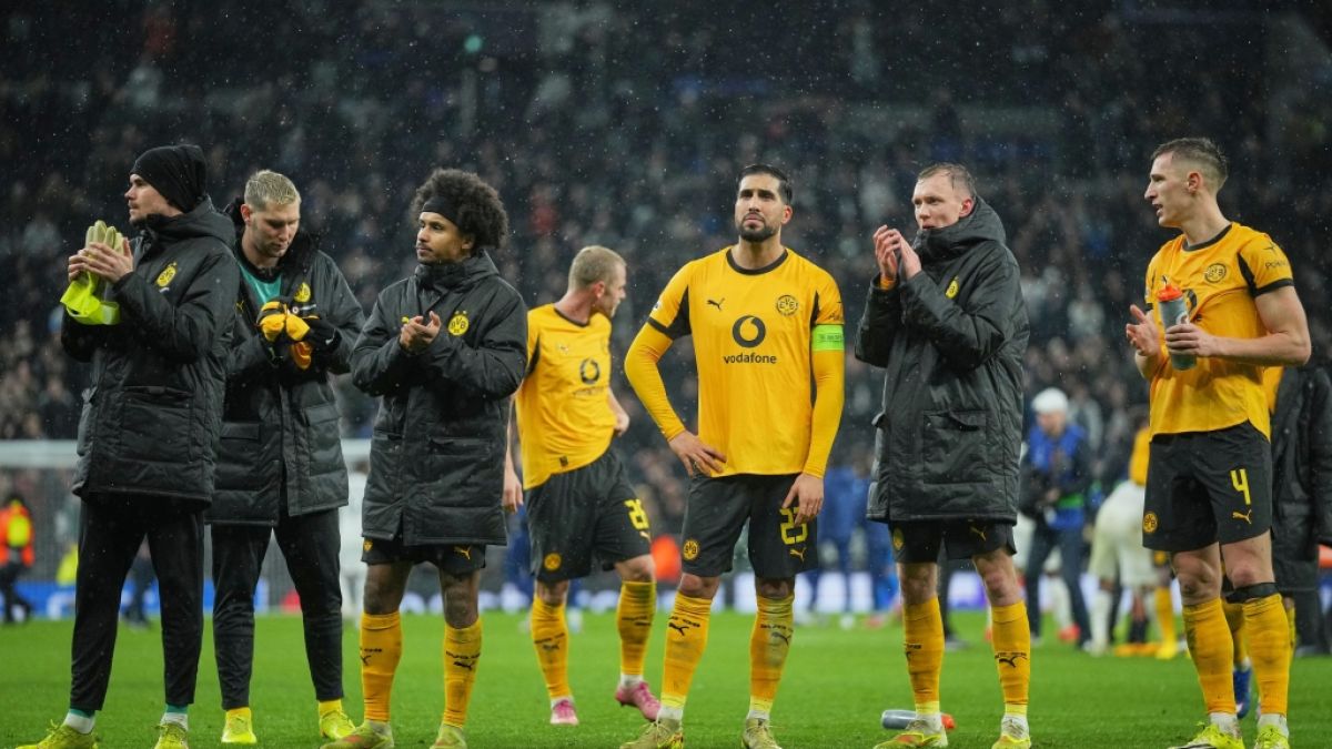Borussia Dortmund hat in der Champions League gegen Tottenham Hotspur verloren. (Foto)