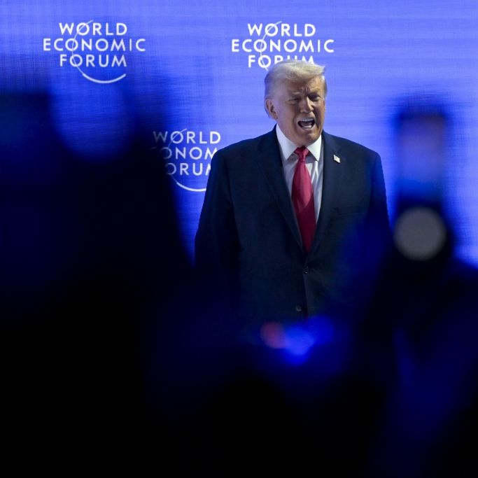 Trumps Rumpel-Rede im Detail - 