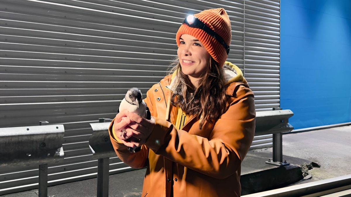 Anna und die wilden Tiere bei KiKA (Foto)