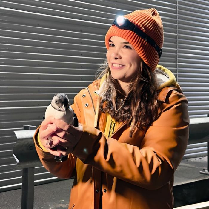 Wiederholung und Mediathek zur Sendung