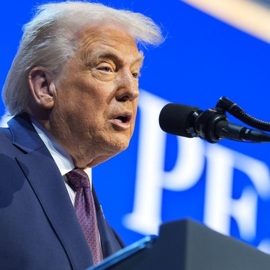 Es war pure Absicht - 