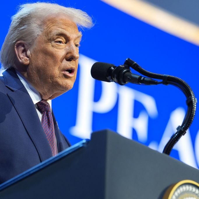 Rückzieher im Grönland-Konflikt - das sollte die EU daraus lernen