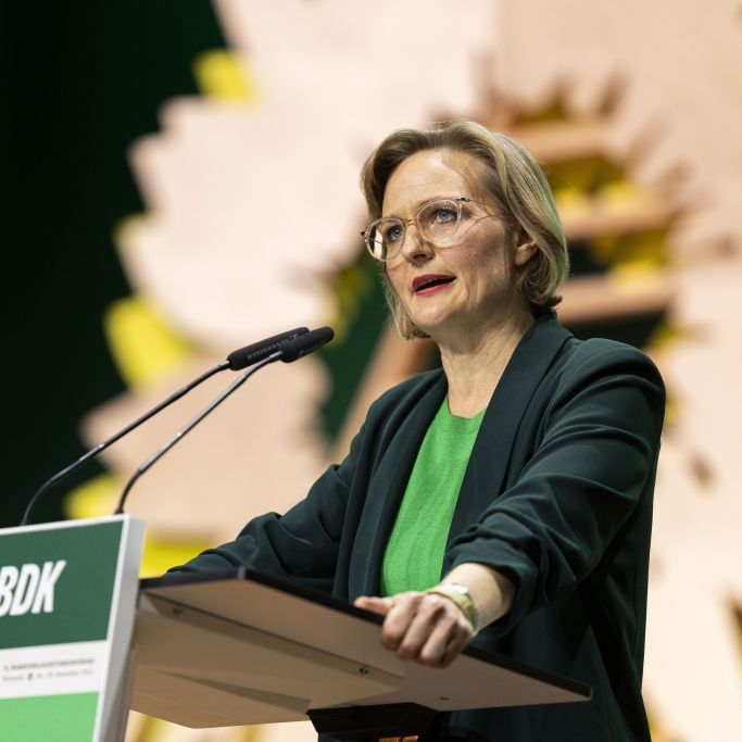 Grünen-Zoff nach EU-Abstimmung – Parteichefin in Erklärungsnot