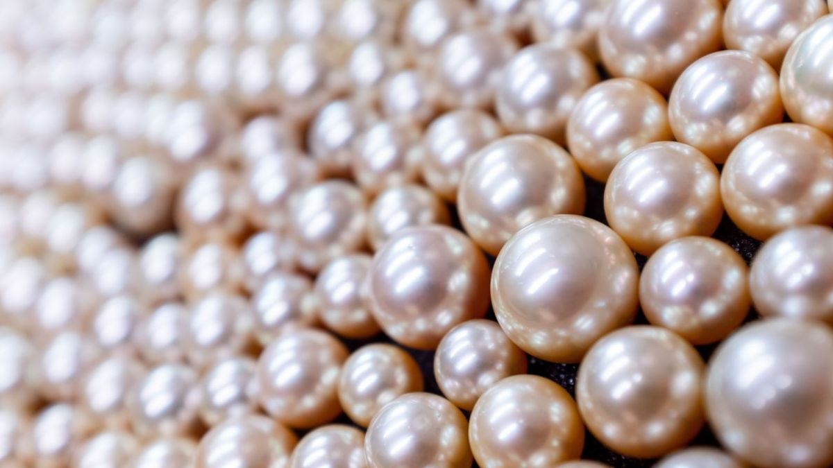 plan b: Unguilty Pleasures bei ZDF (Foto)