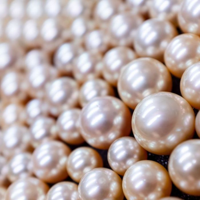 Wann und wo man die Wiederholung sehen kann