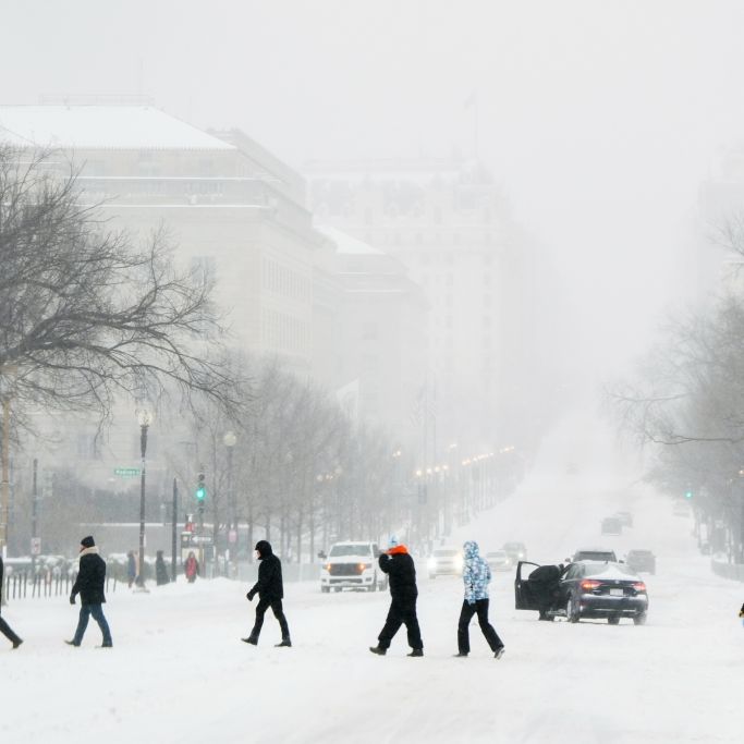 Wintersturm legt halbes Land lahm - Trump ruft Notstand aus
