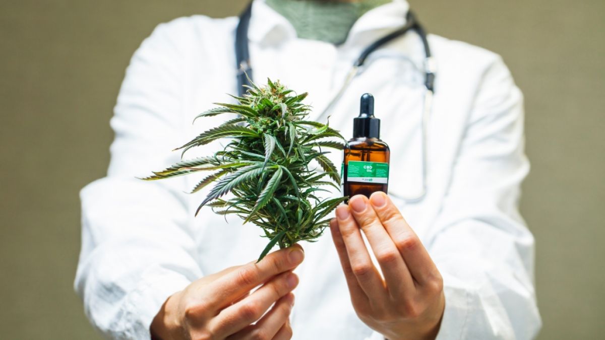 Bei der Beschaffung von medizinischem Cannabis m&uuml;ssen Patienten bestimmte Regelungen beachten. (Foto)