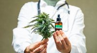 Bei der Beschaffung von medizinischem Cannabis müssen Patienten bestimmte Regelungen beachten.