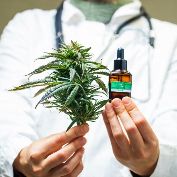 Was gilt für Cannabis-Patienten 2026?