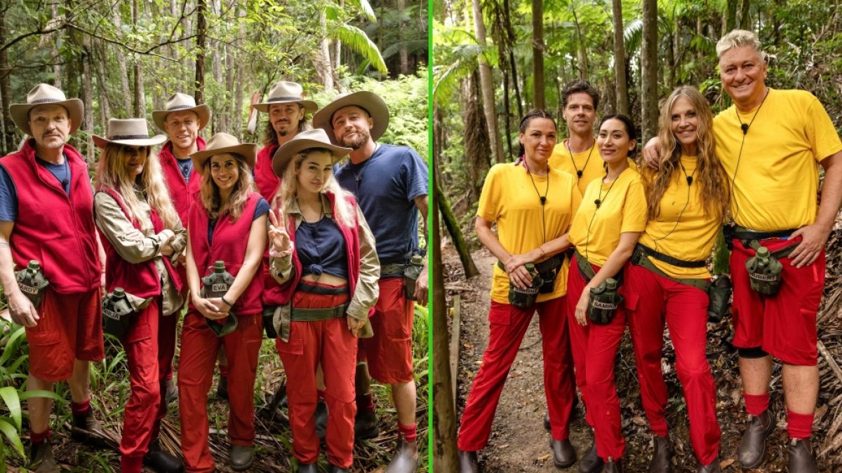 Die Kandidaten der RTL-Realityshow "Ich bin ein Star - Holt mich hier raus!". (Foto)