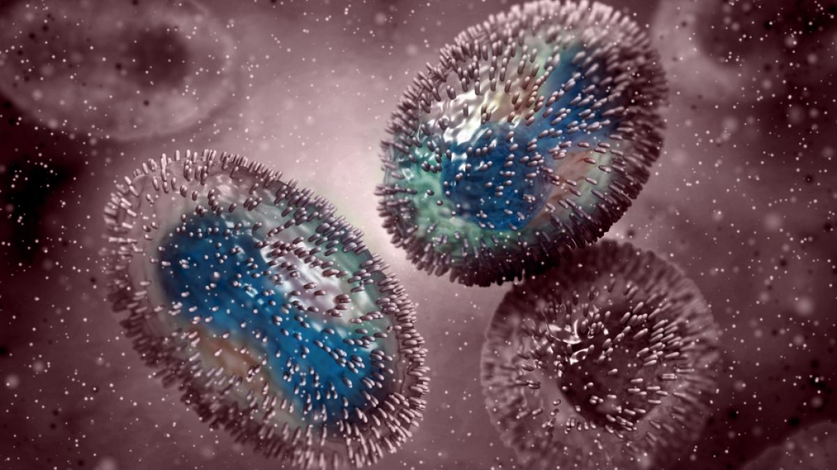 Beim Affenpocken-Virus handelt es sich um eine Zoonose: Die Erkrankung geht urspr&uuml;nglich wahrscheinlich von Nagetieren aus. (Foto)