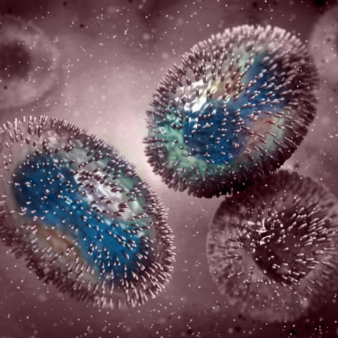 Deutscher schleppt Affenpocken-Virus in Mexiko ein