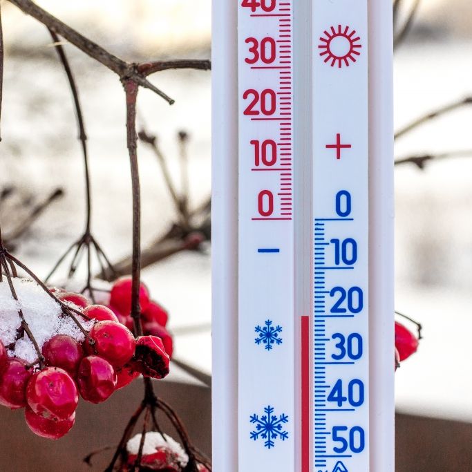 Sibirische Kälte kracht auf Deutschland - bis zu minus 20 Grad drohen