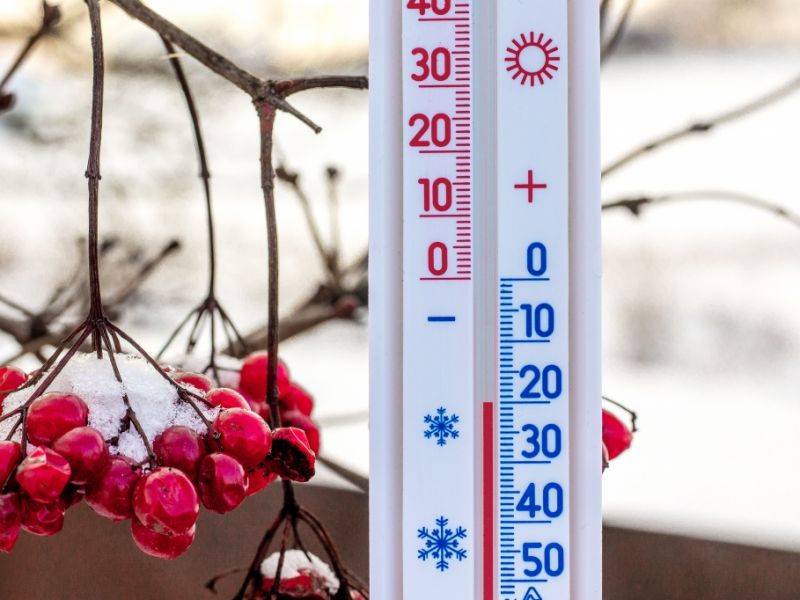 Winterchaos in Deutschland: Sibirische Kältepeitsche knallt auf Deutschland - bis zu minus 20 Grad drohen