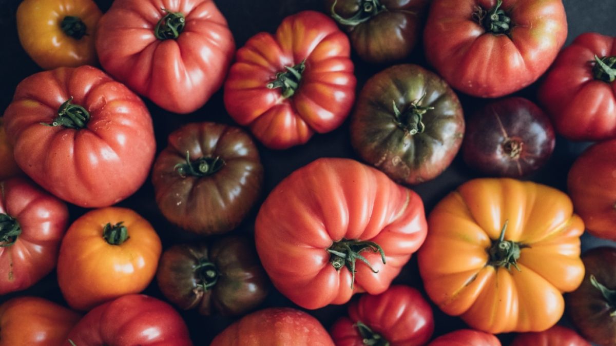&Uuml;ber die Tomatenernte freut sich Lucia Schauerhammer jedes Jahr am meisten. (Foto)