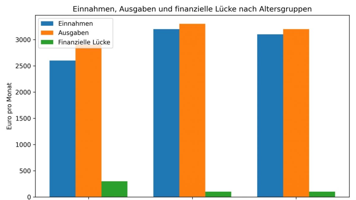 Das sind die durchschnittlichen Ausgaben und Einnahmen von Rentnern. (Foto)