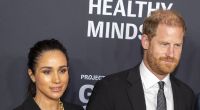 Eine Adelsexpertin kritisiert Meghan Markle und Prinz Harry scharf.