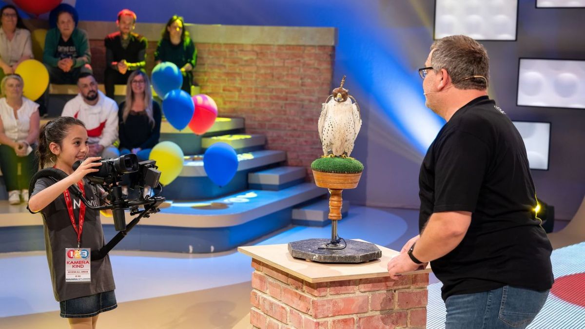 1, 2 oder 3 bei ZDF (Foto)