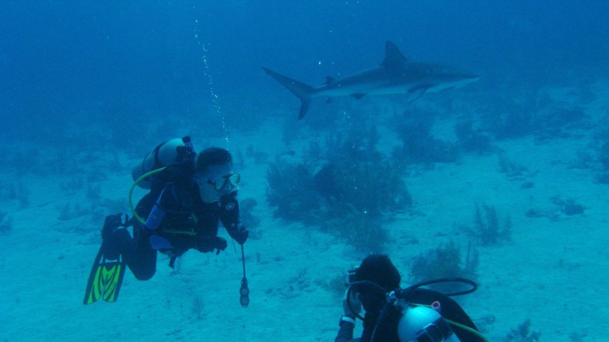 PUR+ bei KiKA (Foto)