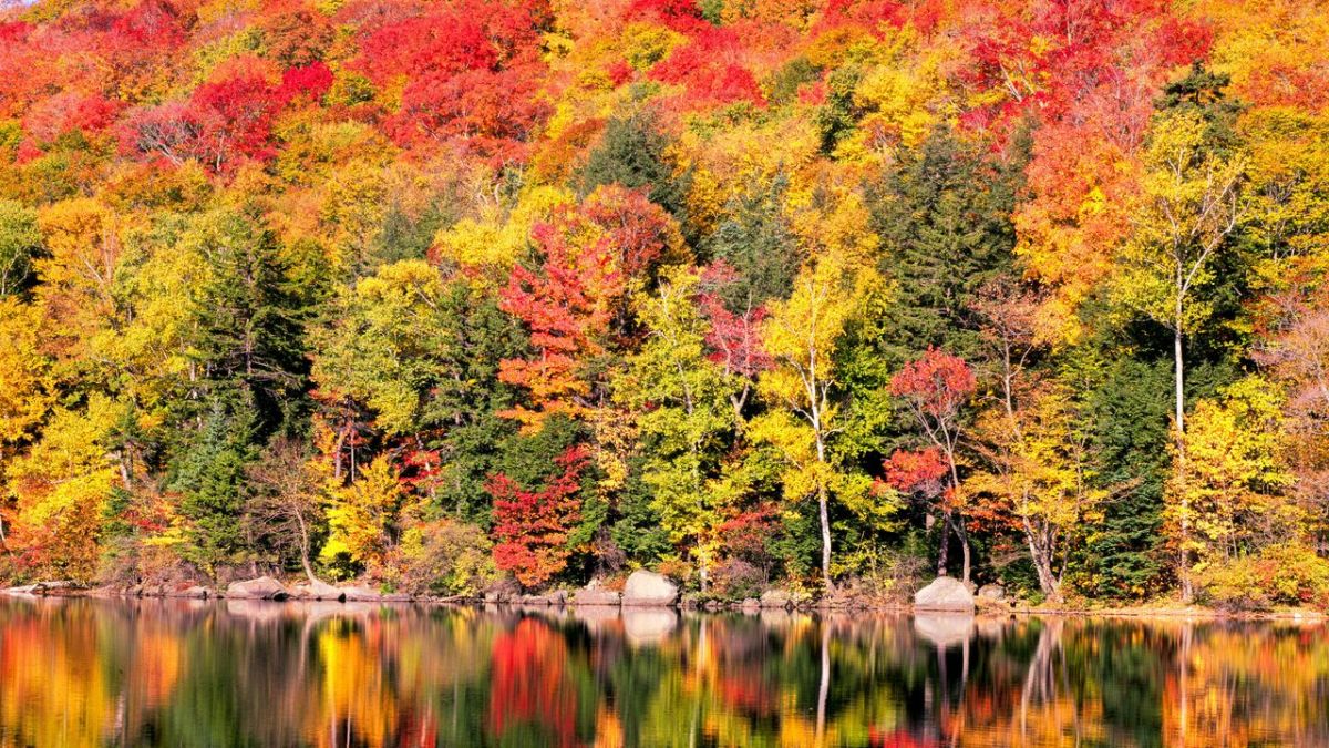 Zauber der Jahreszeiten bei 3sat (Foto)