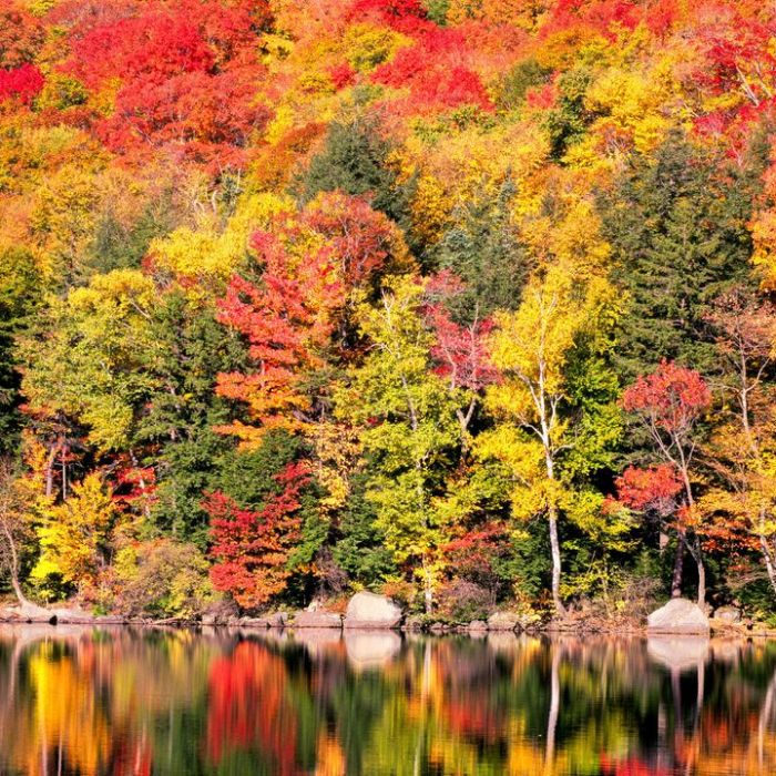 Wiederholung und Mediathek zur Sendung