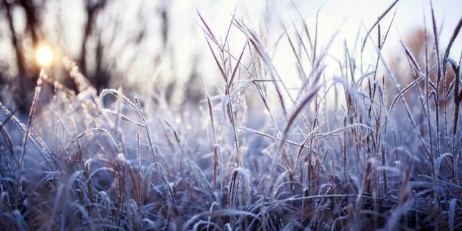 Winter-Hammer im Februar