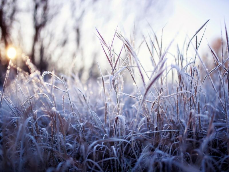 Winter-Hammer im Februar: Meteorologen warnen vor extremer Kältewelle