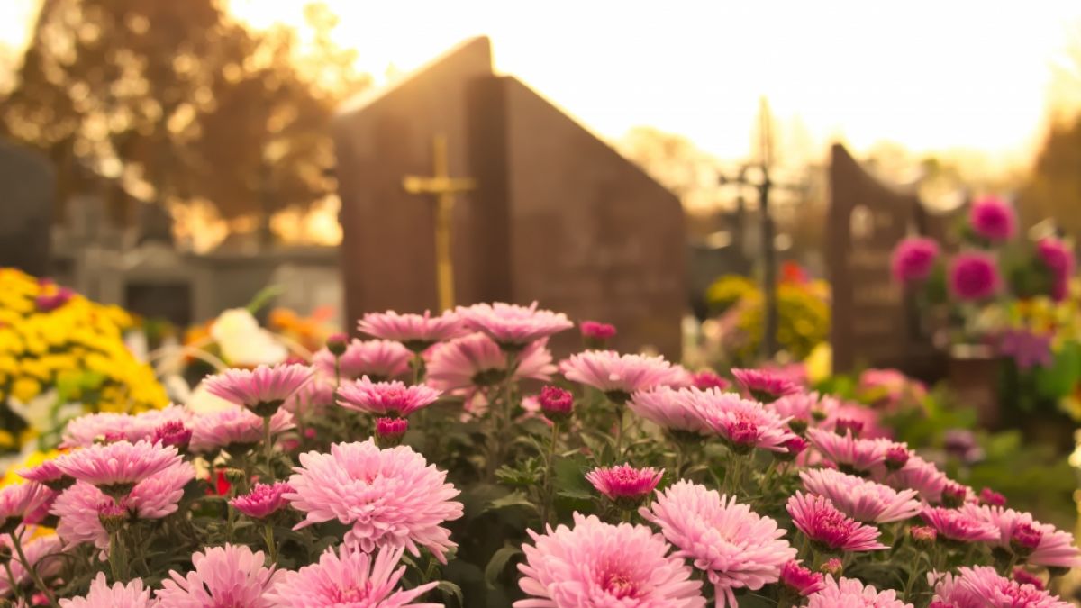 Der mexikanische Schauspieler Gerardo Taracena ("Apocalypto", "Narcos") ist verstorben. (Foto)