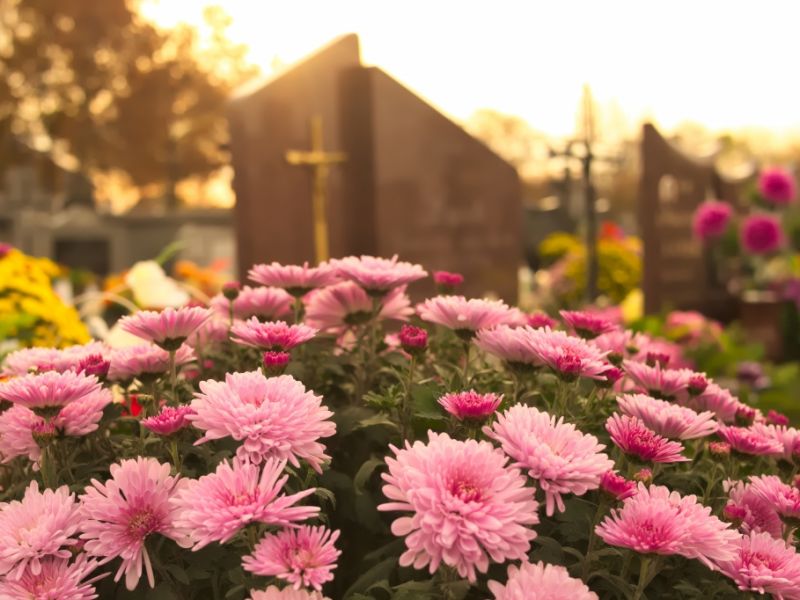 Gerardo Taracena tot: "Narcos"- und "Apocalypto"-Star unerwartet verstorben