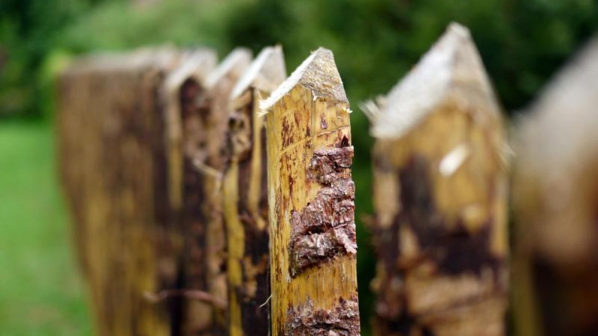 Foto: Soeren Stache, dpa (Foto)