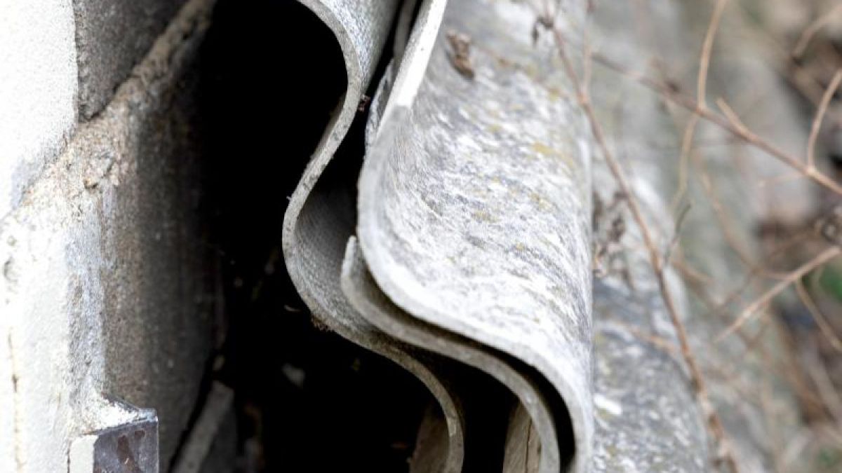 Foto: Florian Schuh/dpa-tmn (Foto)