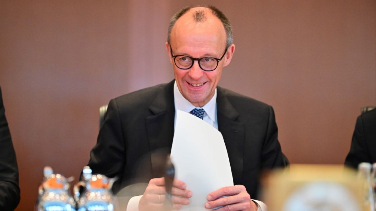 Bundeskanzler Friedrich Merz plant eine umfassende Rentenreform. (Foto)