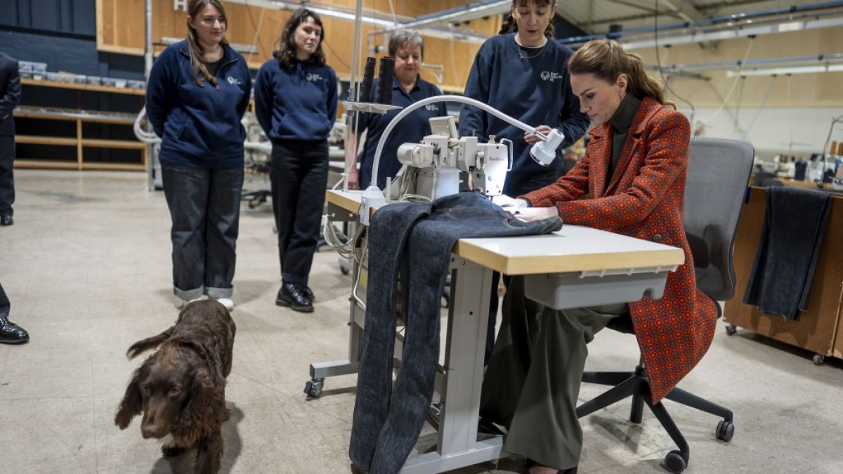 Vierbeiner Barney wich Prinzessin Kate bei ihrem Besuch einer Jeans-Fabrik in Wales nicht von der Seite. (Foto)