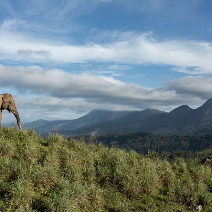 Wiederholung und Mediathek zur Sendung