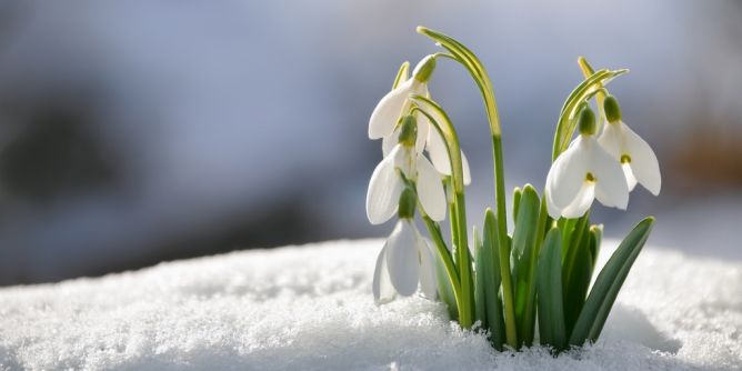 Winter-Prognose kippt