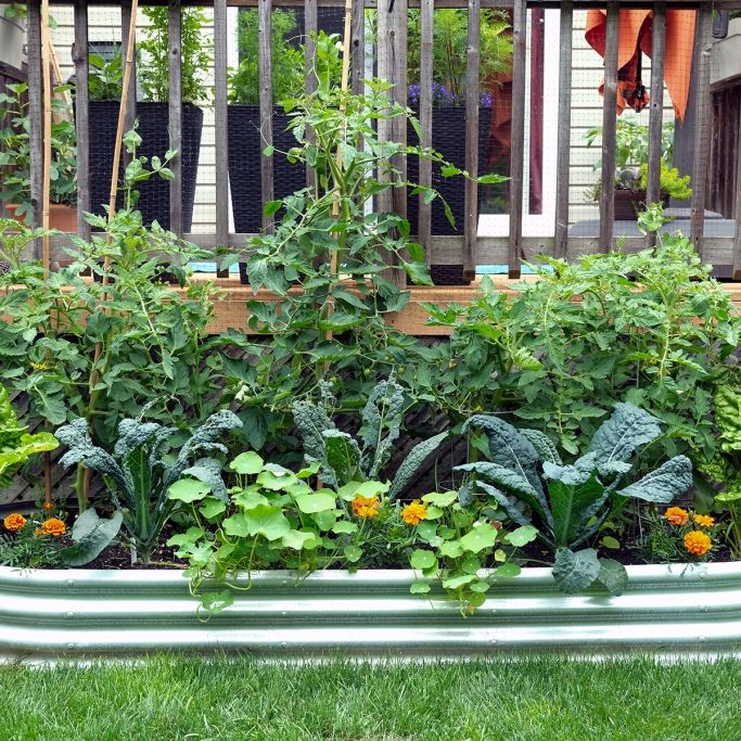 30 einfache Musterbeete zum Nachpflanzen