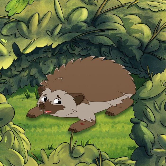 Wann und wo man die Wiederholung sehen kann