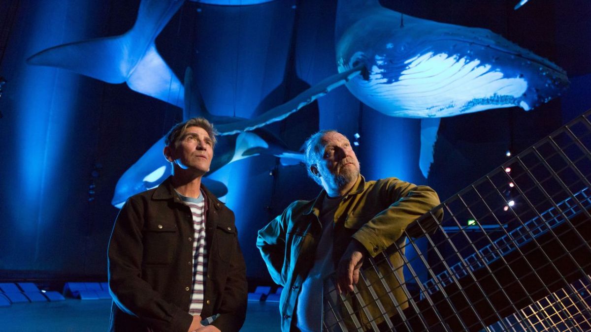 L&ouml;wenzahn bei KiKA (Foto)