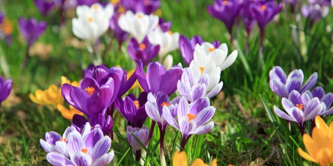 Hundertjähriger Kalender im März 2026