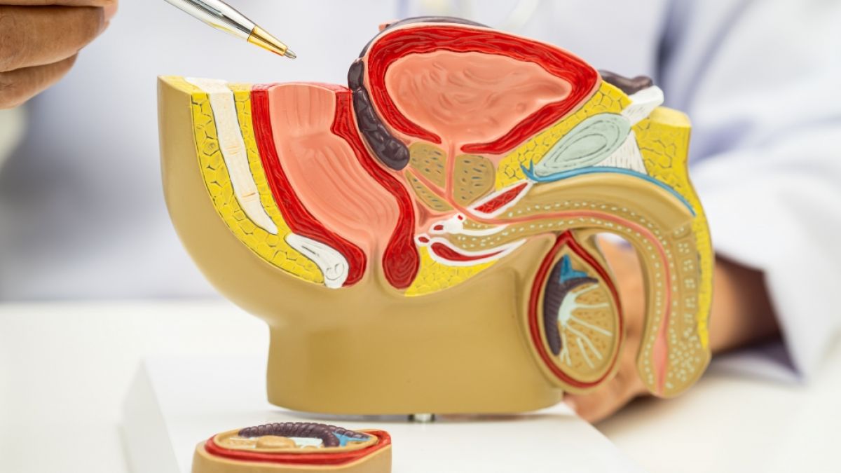 Schmerzen beim Wasserlassen sollten keinesfalls ignoriert werden - es k&ouml;nnte sich um Blasenkrebs handeln. (Foto)