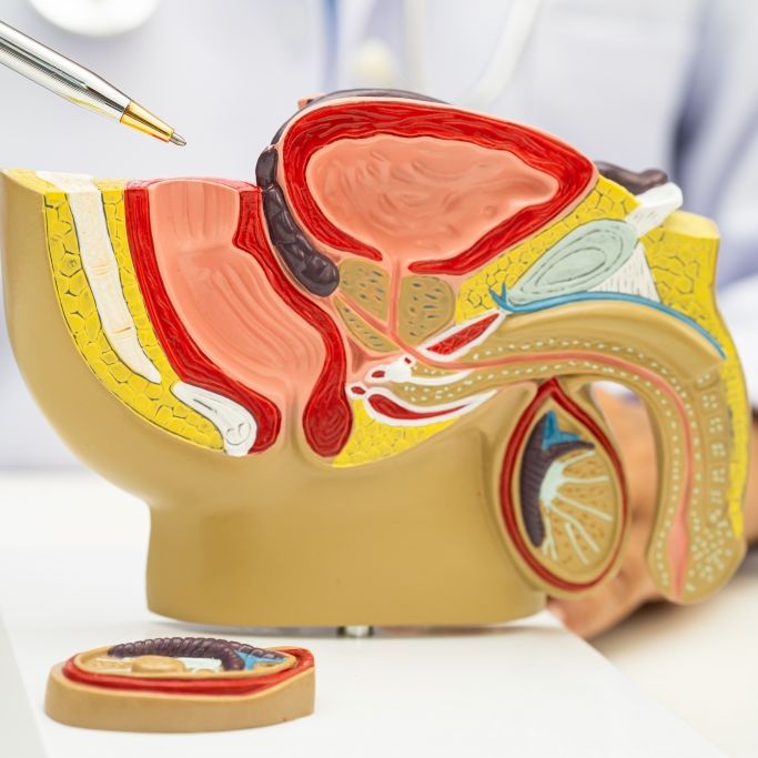 Diese drei Frühwarnzeichen deuten auf Blasenkrebs hin