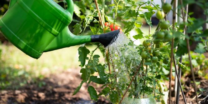 Regen speichern statt ableiten