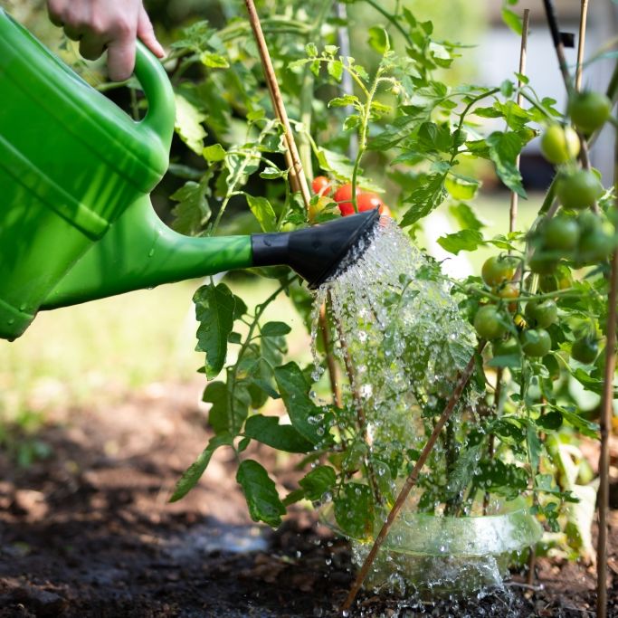 Der Schwammgarten spart Tausende Euro