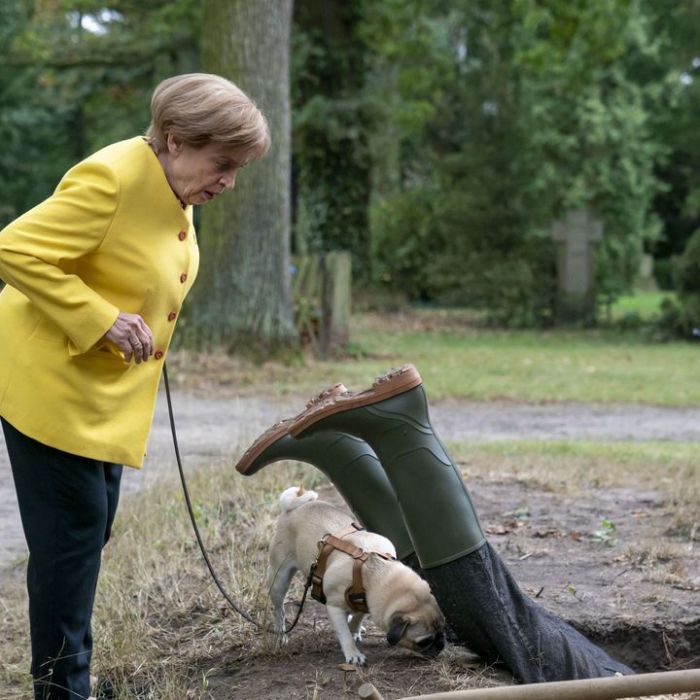 Wiederholung und Mediathek zur Sendung
