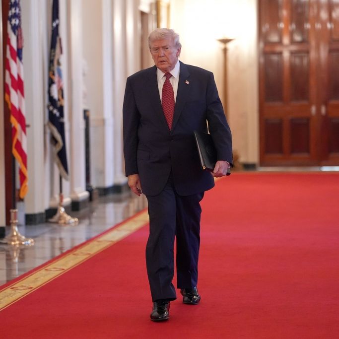 Professor ruft zum Widerstand auf - kann der US-Präsident so gestoppt werden?